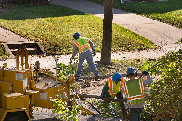 Lawn Drainage Solutions in Taylor Creek, FL